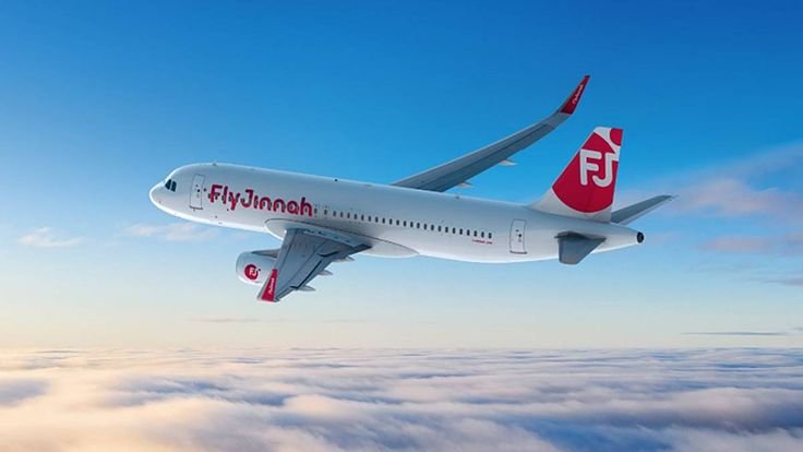 fly jinnah appoints chief executives officer